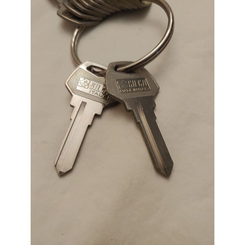 Set Of 2 Harley Davidson Silca Blank HY5R Keys